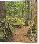 Mt. Rainier Trail Wood Print