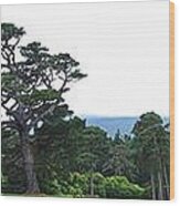 Muckross Landscape Wood Print