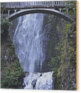 Multnomah Falls Wood Print