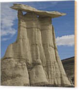 Mushroom Hoodoo Bisti Wilderness Wood Print