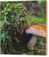 Mushroom Magic 3 Wood Print