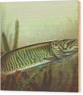 Muskie And Spinner Bait Wood Print