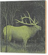 My First Elk Wood Print