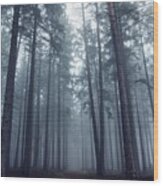 Mysterious Foggy Forest. Wood Print