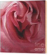 Mystery Pink Rose Wood Print