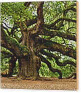 Mystical Angel Oak Tree Wood Print