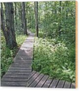 Nature's Walkway Wood Print