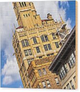 Neo-gothic Jackson Building In The Heart Of Asheville Wood Print