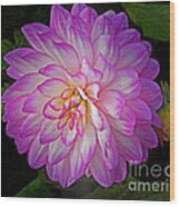 Neon Dahlia Duo Wood Print