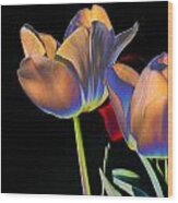 Neon Tulips Wood Print