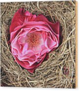 Nesting Rose Wood Print
