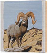 Nevada California Bighorn Wood Print