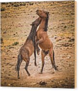 Nevada Wild Horses 3890 Wood Print