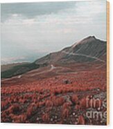 Nevado De Toluca Mexico Ii Wood Print