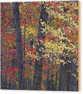 New Jersey's Reds Wood Print
