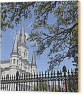 St Louis Cathedral In New Orleans New Orleans 18 Wood Print