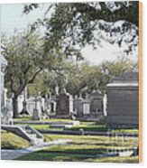 New Orleans Cemetery 2 Wood Print