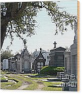 New Orleans Cemetery 3 Wood Print