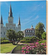 New Orleans Jackson Square And Saint Wood Print