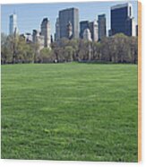 New York City Central Park Wood Print