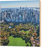 New York City Skyline, Central Park Wood Print