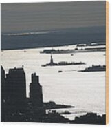 New York City - View From Empire State Building - 121227 Wood Print