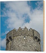 Newtown Castle Tower In Ireland's Burren Region Wood Print