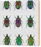 Nine Beetles Against A White Background Wood Print