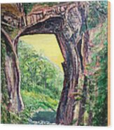 Nixon's Glorious View Of Natural Bridge Wood Print