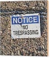 No Trespassing Sign On Ground Wood Print