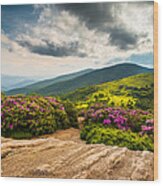 North Carolina Blue Ridge Mountains Landscape Appalachian Trail Wood Print