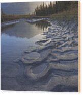 North Saskatchewan River Backwater Wood Print