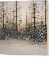 Norther Bush-country Wood Print