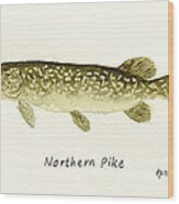 Northern Pike Wood Print