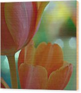 Nothing As Sweet As Your Tulips Wood Print