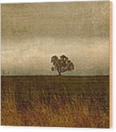 Oak Across A Field Wood Print
