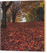 Ohio Fall Scenery Wood Print