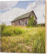 Old Barn In Ontario County - New York State Wood Print