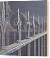 Old Cast Iron Fence Wood Print