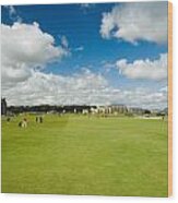 Old Course Fairways Wood Print