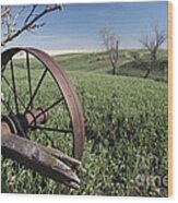 Old Farm Wagon Wood Print