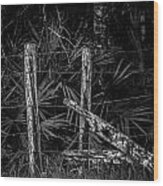 Old Fence Wood Print