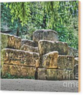 Old Quarry Stones Wood Print