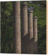 Old Sheldon Church Columns Wood Print