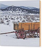 Old Wagon In Snow Wood Print