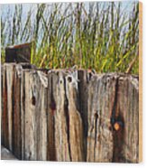 Old Wood Structure Beachside Wood Print
