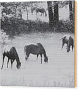 On A Country Road Wood Print