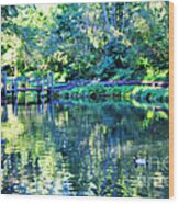 On Reflection Pond Wood Print