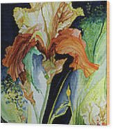 Orange And Yellow Iris Wood Print