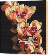 Orange Cymbidium Still Life Flower Art Poster Wood Print